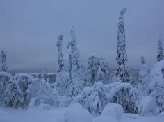 finland3